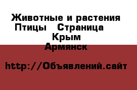 Животные и растения Птицы - Страница 2 . Крым,Армянск